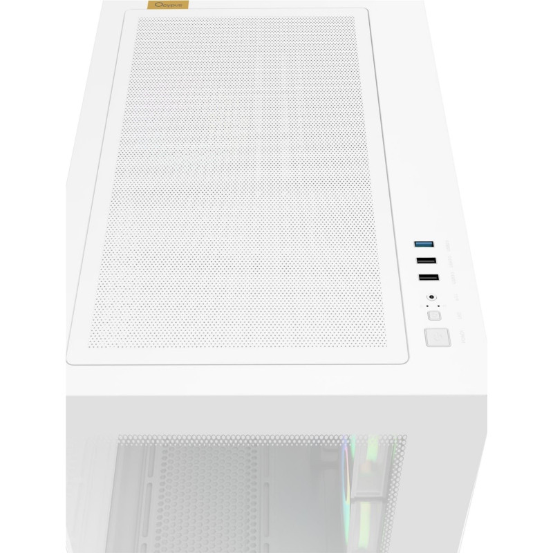 Корпус Ocypus GAMMA C54 ARGB White (GAMMA-C54-WHD300XX-GL)