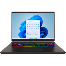 Ноутбук MSI Vector 17 HX AI A2XWIG Cosmos Gray (9S7-17S372-043, A2XWIG-043UA)