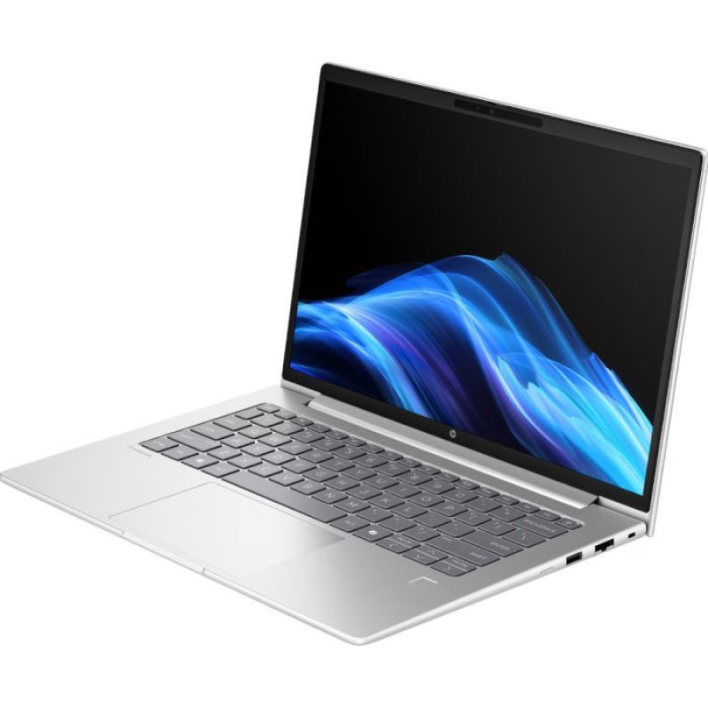 Ноутбук HP ProBook 4 G1i 14 Pike Silver (D0VG6ET)