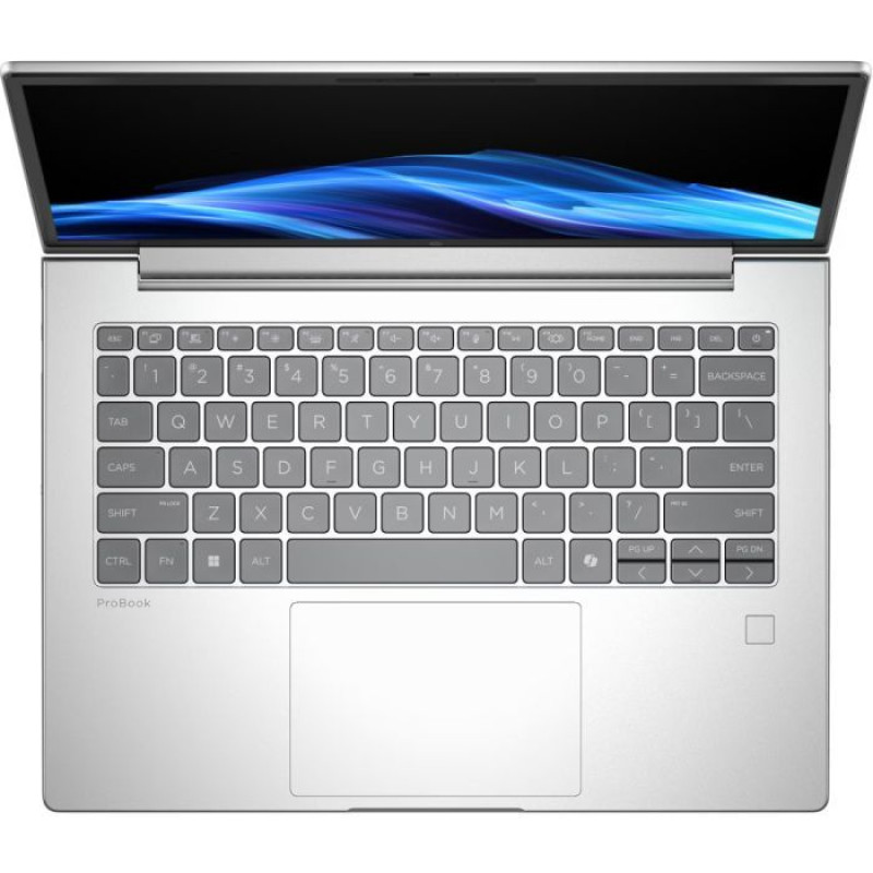 Ноутбук HP ProBook 4 G1i 14 Pike Silver (D0VG6ET)