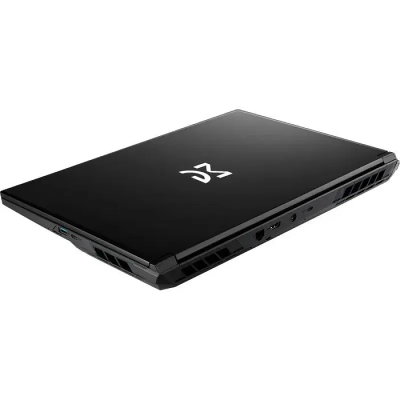 Ноутбук Dream Machines RG5050-17 (RG5050-17UA29)
