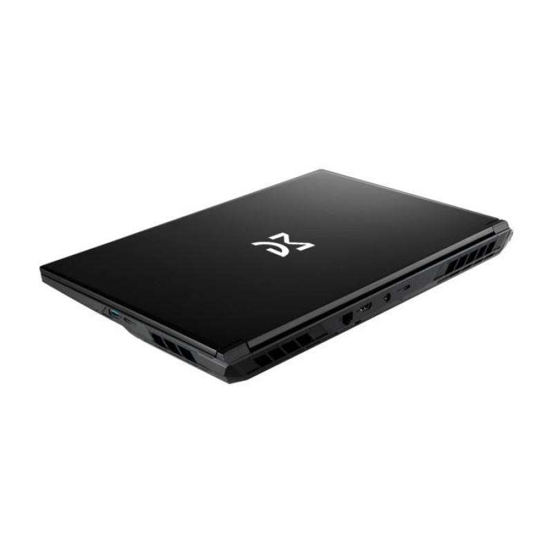 Ноутбук Dream Machines RG5060-17 (RG5060-17UA29)