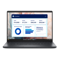 Ноутбук Dell Pro 13 (BTO208PA13250UA_W11P)