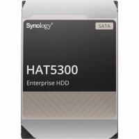 Synology HAT5300 12 TB (HAT5300-12T)