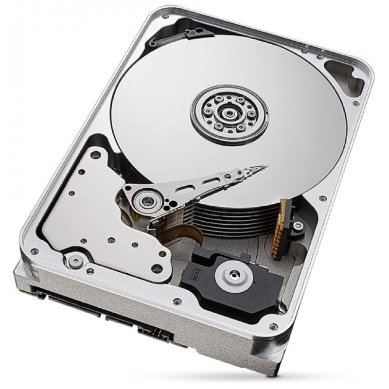 Внутрішній HDD Seagate SkyHawk AI 24 TB (ST24000VE002)