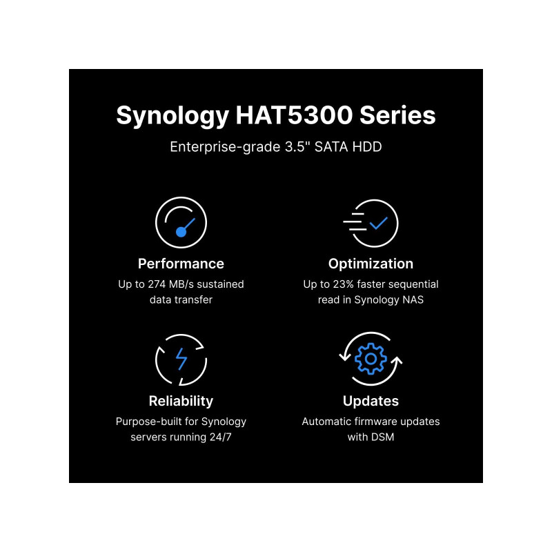 Synology HAT5310 8 TB (HAT5310-8T)