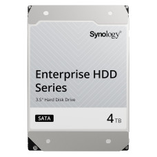 Synology HAT5300 4 TB (HAT5300-4T)