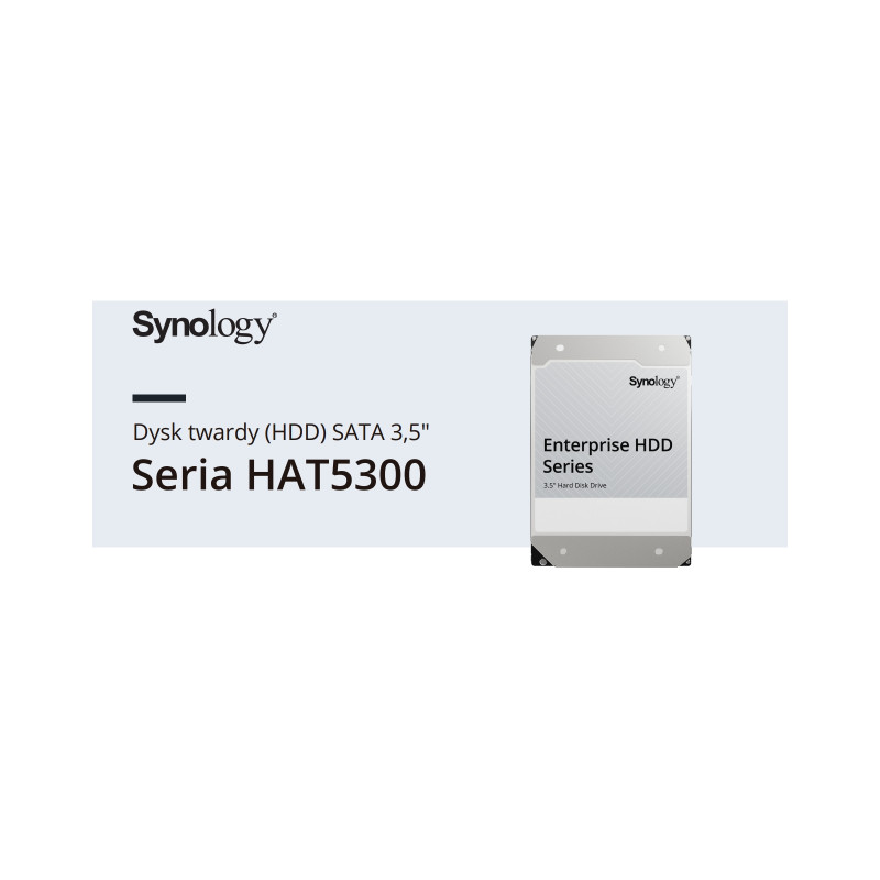 Synology HAT5300 4 TB (HAT5300-4T)