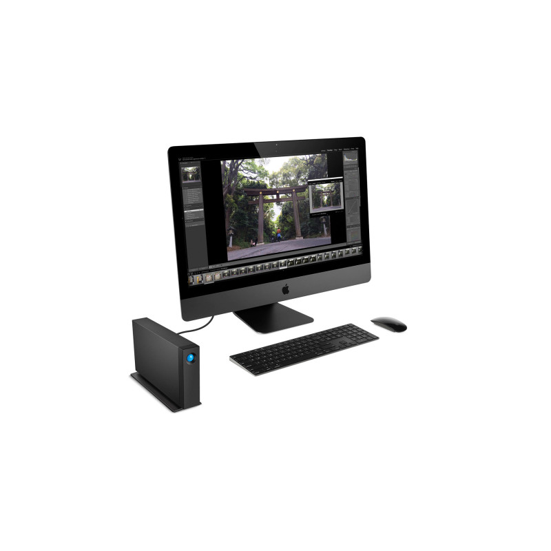 Внешний жесткий диск LaCie d2 Professional 14 TB (STHA14000800)