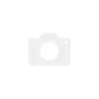 Внешний жесткий диск Seagate Game Drive for Xbox 4 TB (STKX4000402)