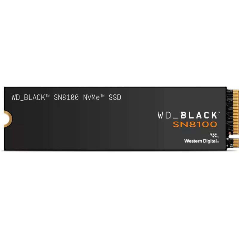 WD BLACK SN8100 1 TB (WDS100T1X0M WDC)