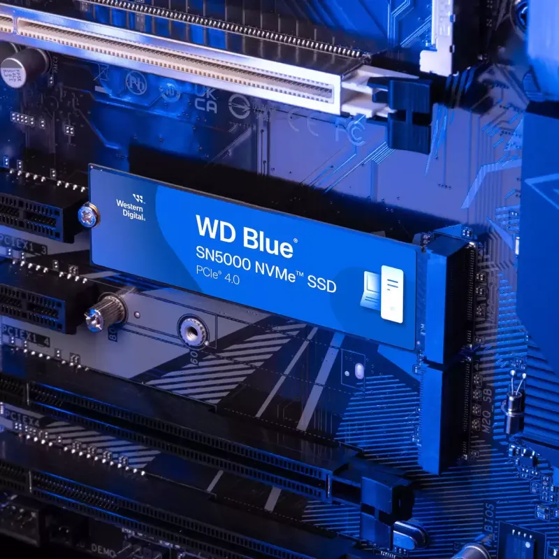 WD Blue SN5000 1 TB (WDS100T4B0E)