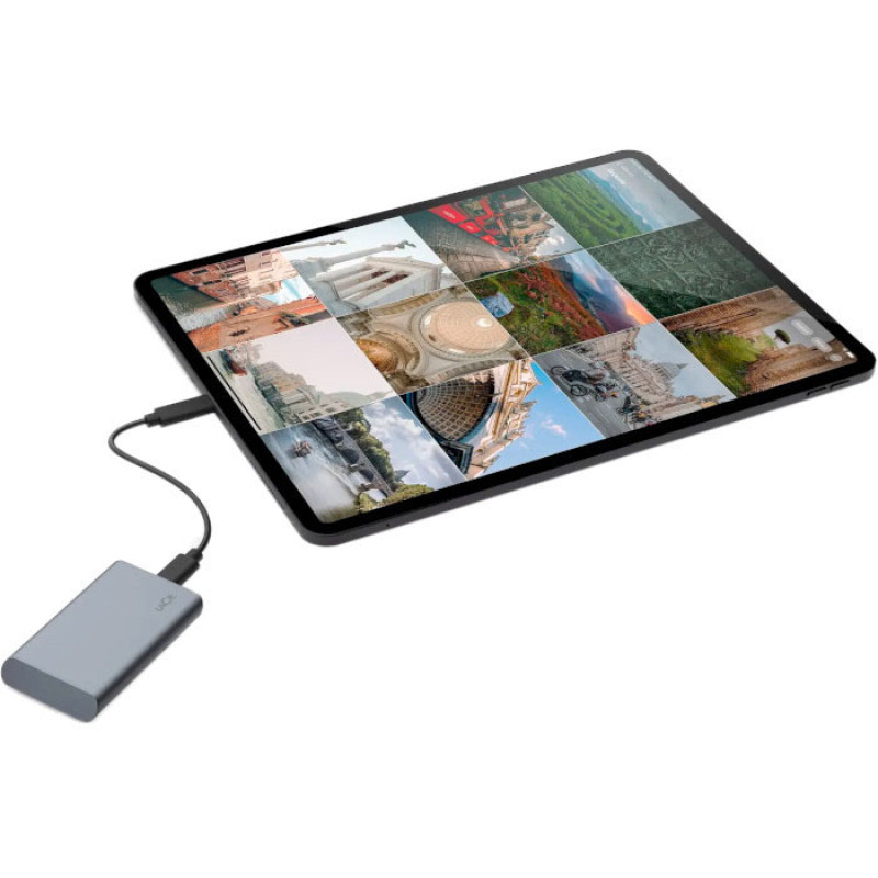SSD накопитель LaCie Mobile Secure 1 TB (STKH1000800)