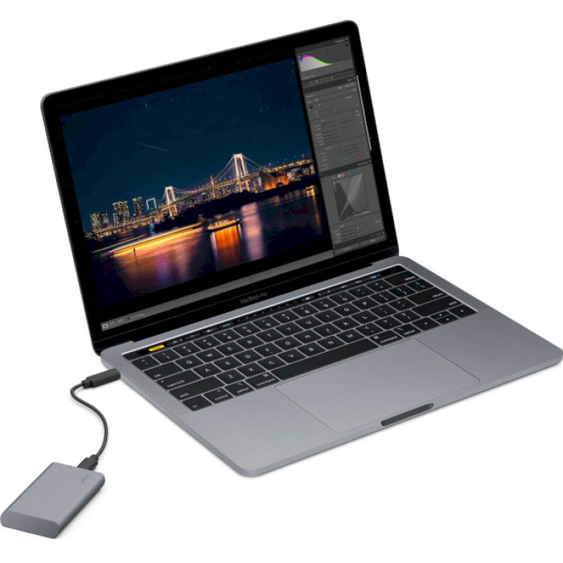 SSD накопитель LaCie Mobile Secure 1 TB (STKH1000800)