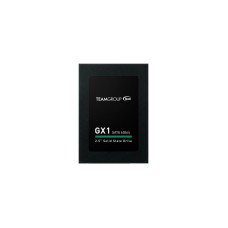 TEAM GX1 240 GB (T253X1240G0C101)
