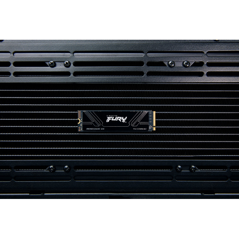 SSD накопитель Kingston FURY Renegade G5 1 TB (SFYR2S/1T0)