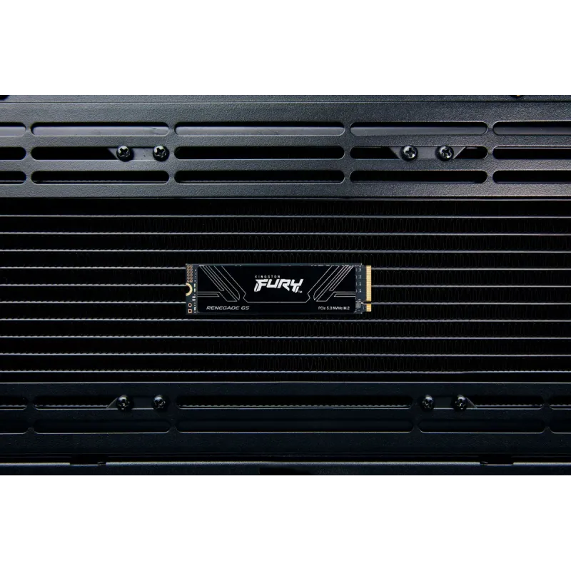 SSD накопитель Kingston FURY Renegade G5 1 TB (SFYR2S/1T0)