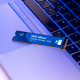 WD Blue SN5000 500 GB (WDS500G4B0E)