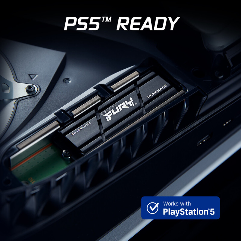 Kingston FURY Renegade 1 TB with Heatsink (SFYRSK/1000G)