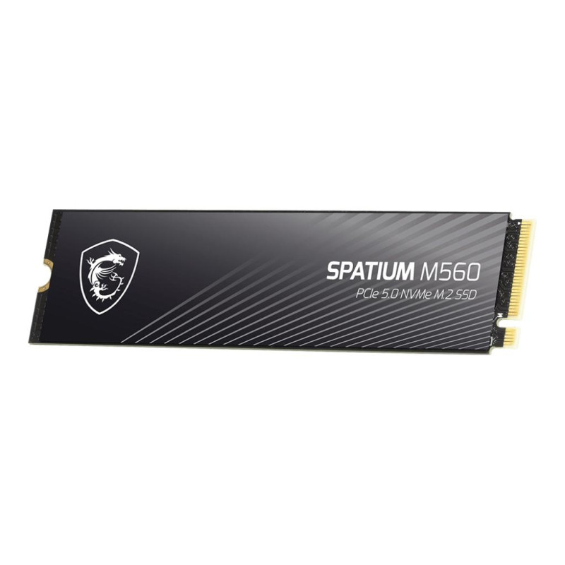SSD накопичувач MSI Spatium M560 1 TB (S78-440L0F0-P83)