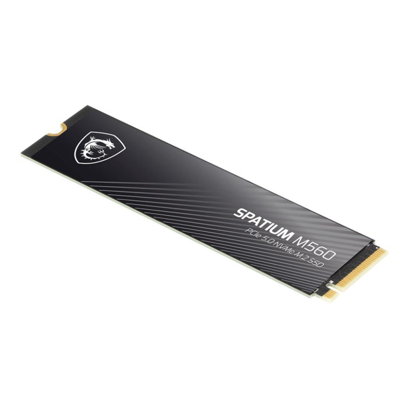 SSD накопичувач MSI Spatium M560 1 TB (S78-440L0F0-P83)