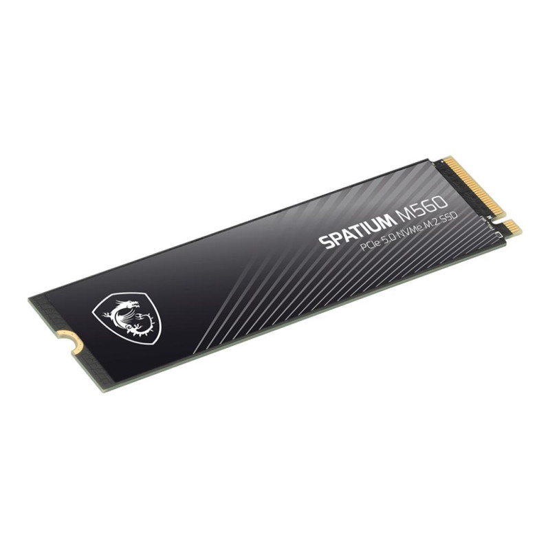 SSD накопичувач MSI Spatium M560 1 TB (S78-440L0F0-P83)