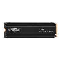 Crucial T700 1 TB with heatsink (CT1000T700SSD5)