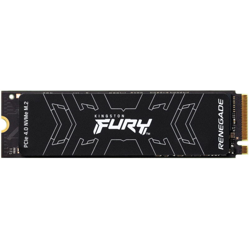 Kingston FURY Renegade 1 TB (SFYRS/1000G)