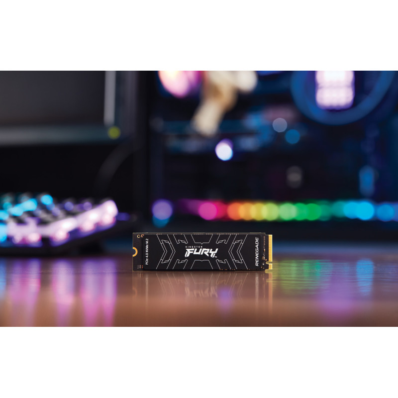 Kingston FURY Renegade 1 TB (SFYRS/1000G)