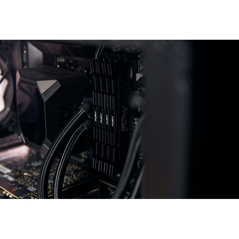 Kingston Fury Renegade, Black (KF442C19RB12K2/32)