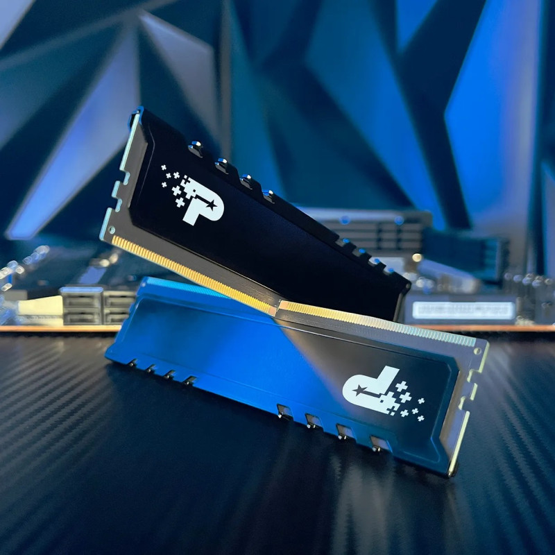 Оперативна пам'ять PATRIOT 16 GB DDR5 5600 MHz Signature Premium (PSP516G560081H1)