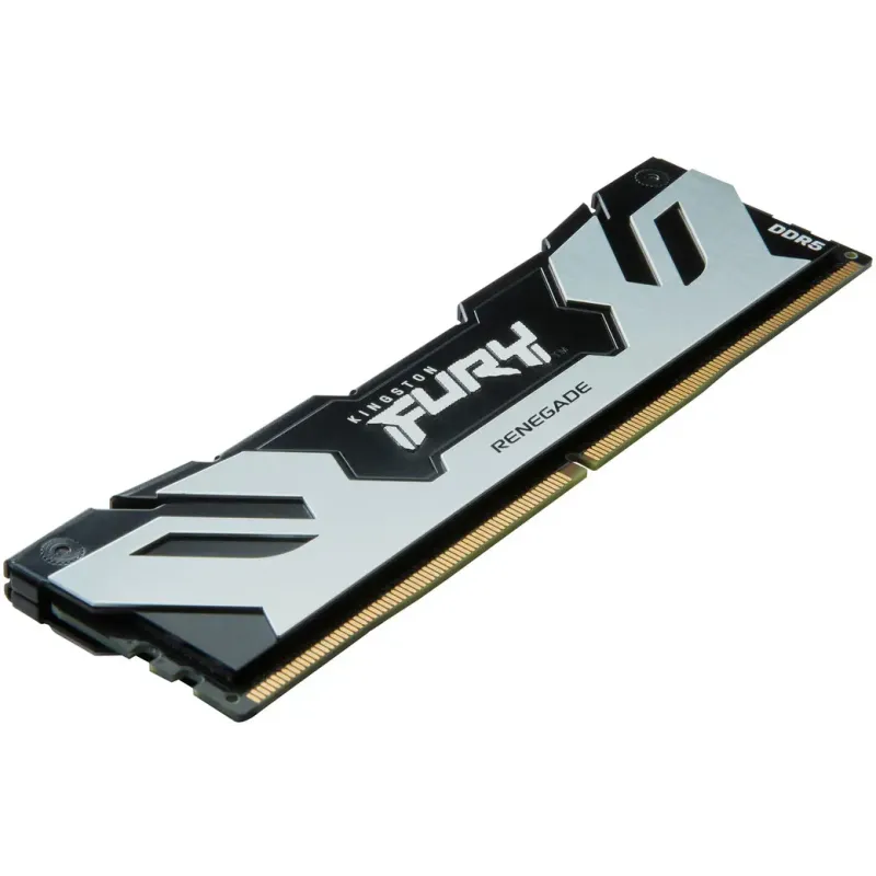 Оперативная память Kingston FURY 48 GB DDR5 6000 MHz Renegade Silver (KF560C32RS-48)