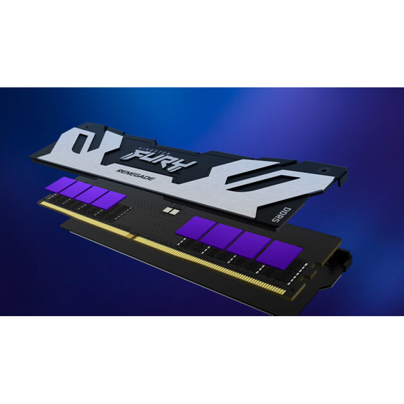 Оперативная память Kingston FURY 64 GB (2x32GB) DDR5 6400 MHz Renegade Silver/Black (KF564C32RSK2-64)