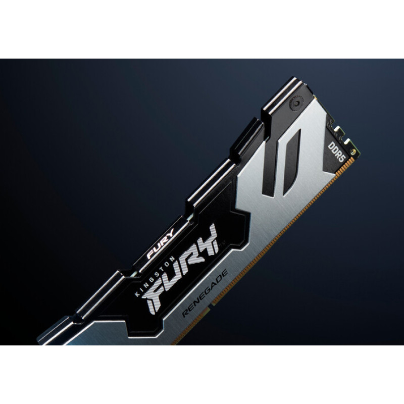 Оперативная память Kingston FURY 64 GB (2x32GB) DDR5 6400 MHz Renegade Silver/Black (KF564C32RSK2-64)