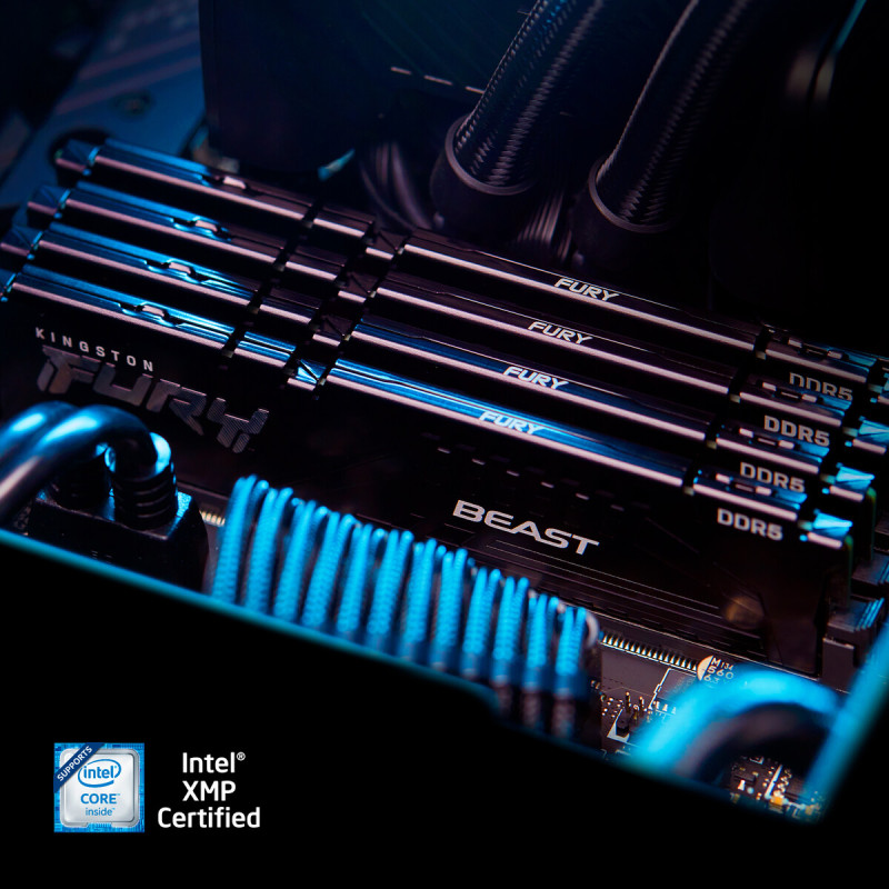 Оперативна пам'ять Kingston FURY 64 GB (2x32GB) DDR5 6000 MHz Beast (KF560C30BBK2-64)