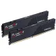 Оперативна пам'ять G.Skill 32 GB (2x16GB) DDR5 6000 MHz Flare X5 (F5-6000J3038F16GX2-FX5)