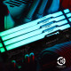 Kingston FURY 64 GB DDR5 5600 MHz Beast Black RGB EXPO (KF556C36BBEA-64)