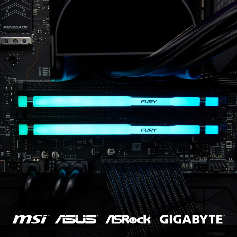 Kingston FURY 64 GB DDR5 5600 MHz Beast Black RGB EXPO (KF556C36BBEA-64)