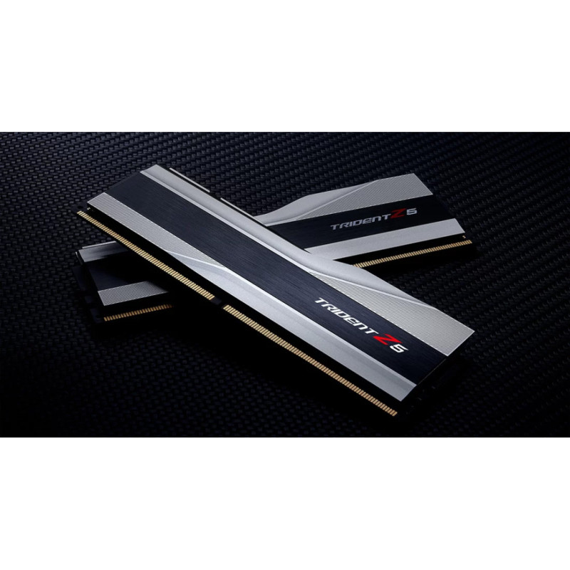 Оперативная память G.Skill 64 GB (2x32GB) DDR5 6000 MHz Trident Z5 Silver (F5-6000J3238G32GX2-TZ5S)