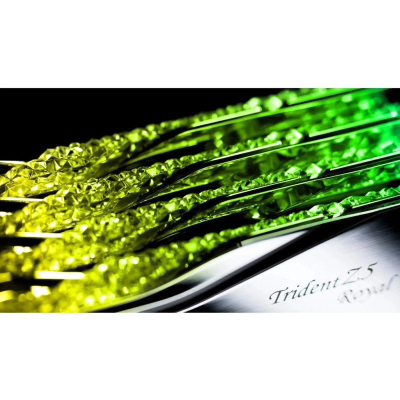 G.Skill 96 GB (2x48GB) DDR5 6400 MHz Trident Z5 Royal Silver (F5-6400J3239F48GX2-TR5S)