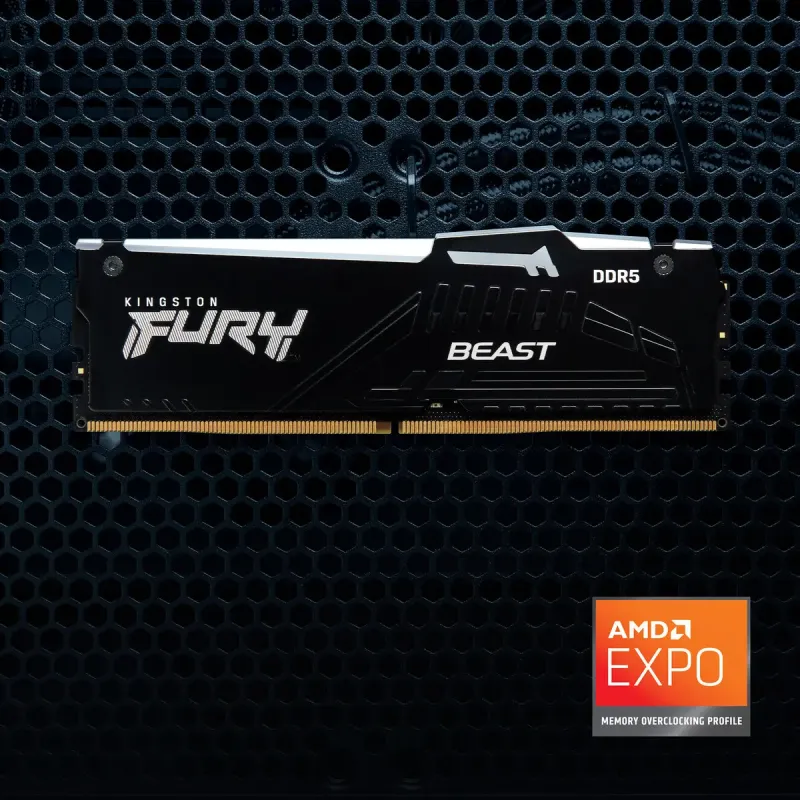Оперативна пам'ять Kingston FURY 32 GB (2x16GB) DDR5 6400 MHz Beast RGB EXPO (KF564C32BBEAK2-32)