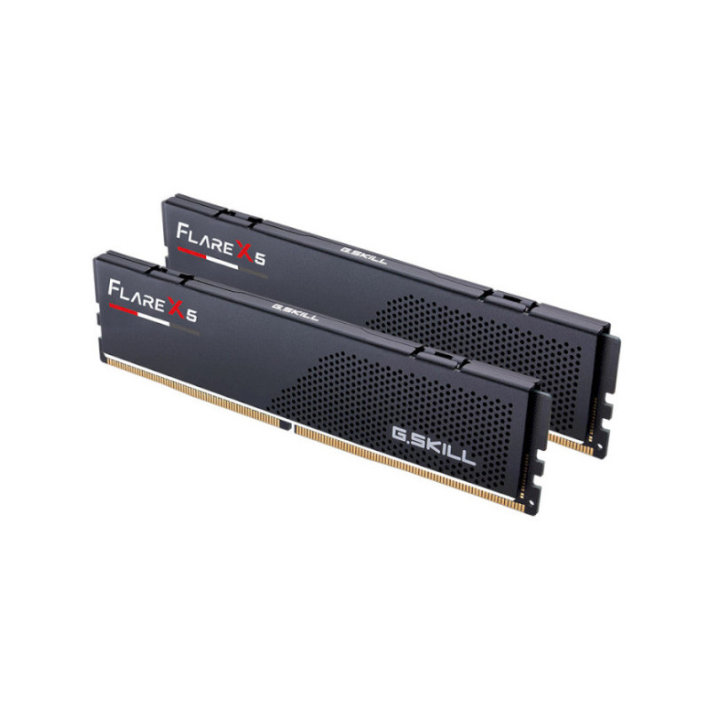 G.Skill Flare X5 128GB (2x64) DDR5 6400MHz AMD EXPO (F5-6000J3644D64GX2-FX5)