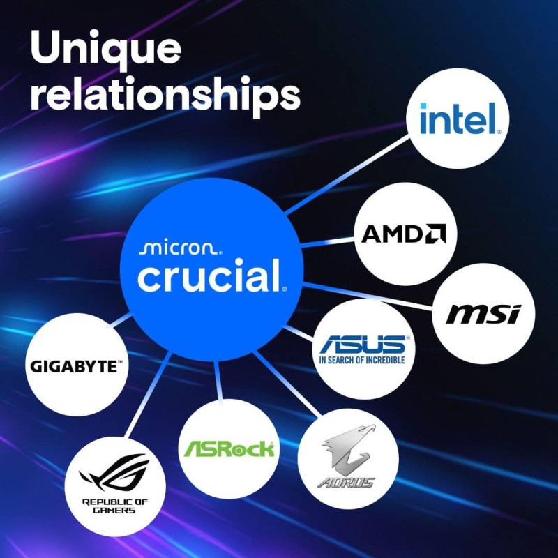 Оперативна пам'ять Crucial 48 GB DDR5 6000 MHz Pro (CP48G56C46U5)