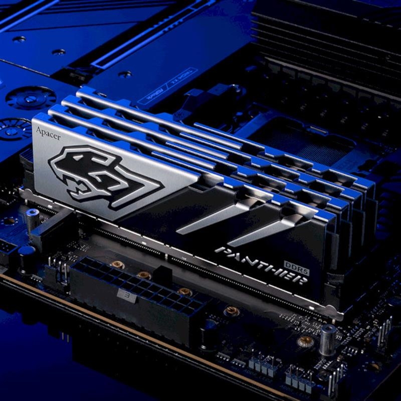 Оперативна пам'ять APACER Panther DDR5 5600MHz 32GB Kit 2x16GB (AH5U32G56C5227BAA-2)