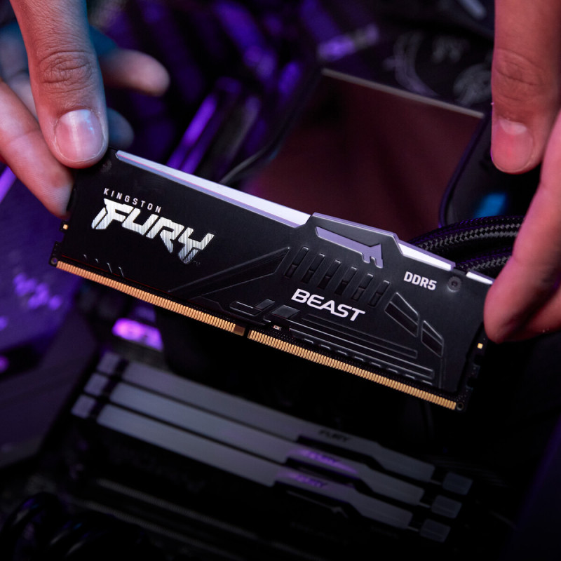 Оперативна пам'ять Kingston FURY 16 GB DDR5 6000 MHz Beast RGB EXPO (KF560C30BBEA-16)