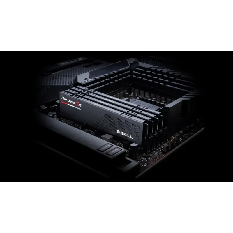 Оперативна пам'ять G.Skill 64 GB (2x32GB) DDR5 6400 MHz Ripjaws S5 (F5-6400J3239G32GX2-RS5K)