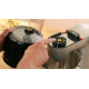 Насадка Bosch MUZS68VL