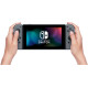 Ігрова консоль Nintendo Switch Gray (4902370551198)