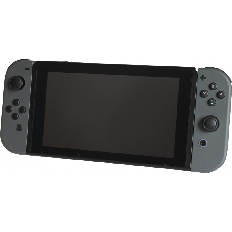 Ігрова консоль Nintendo Switch Gray (4902370551198)