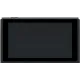 Игровая консоль Nintendo Switch Gray (4902370551198)